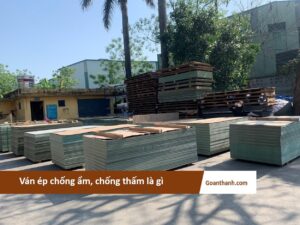 dai dien chong am