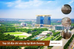 ava binh duong