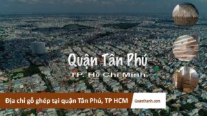 ava Tan Phu