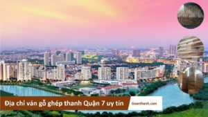 ava quan 7